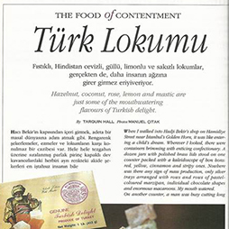 01.1994-Thy Skylife Sayı 1