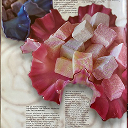 03.2002-Consensus İlkbahar Sayısı