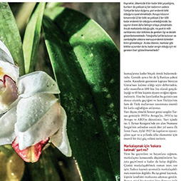 06.11.2013-Hello Eki Kasım