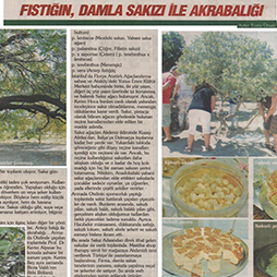 18.11.2013-Gaziantep Sabah