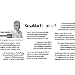 14.11.2014-Yeni Asya