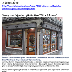 03.02.2015-Istanbul Ajansı Şubat