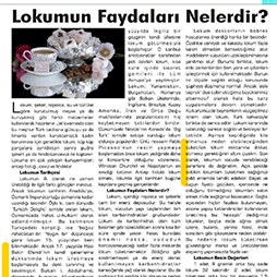 22.10.2016-Yeşil Bor Ekim 22