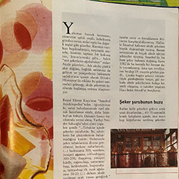 02.2002-İdo-Sealife Şubat Sayısı