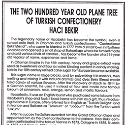 1989-Turkish Food Industry