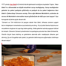 23.10.2024-Milliyet Pembenar