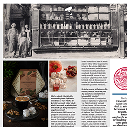 01.09.2024-TI·M Report