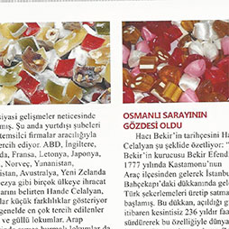 Gıda Teknolojisi Temmuz Sayisi